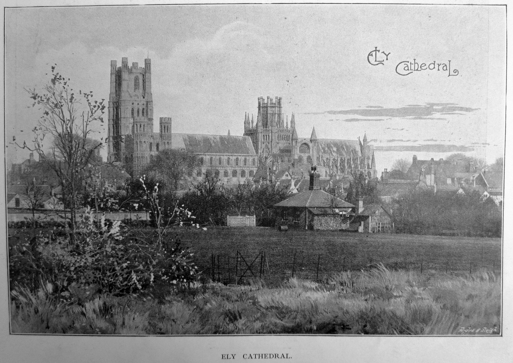 Ely